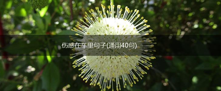 伤感在车里句子(通用40句),第1张