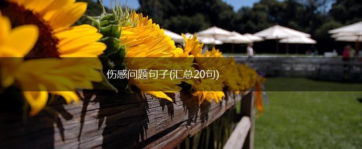 伤感问题句子(汇总20句),第1张