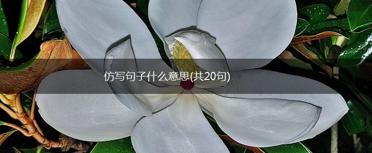 仿写句子什么意思(共20句),第1张