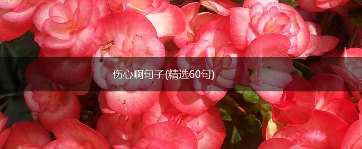 伤心啊句子(精选60句),第1张