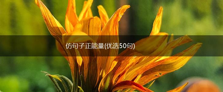 仿句子正能量(优选50句),第1张