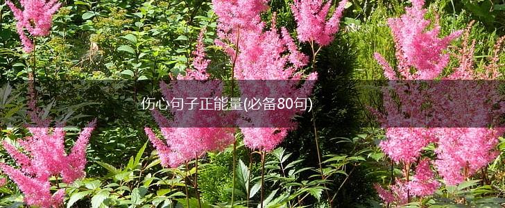 伤心句子正能量(必备80句),第1张