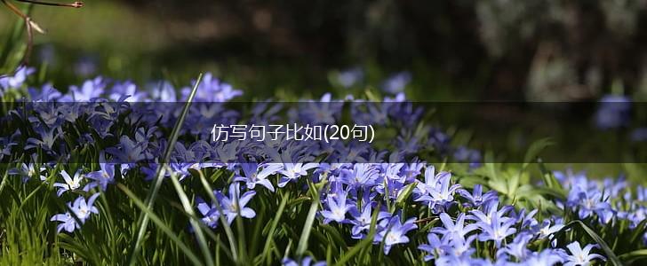 仿写句子比如(20句),第1张