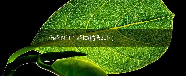 伤感的句子 感情(精选20句),第1张