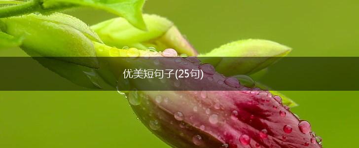 优美短句子(25句),第1张