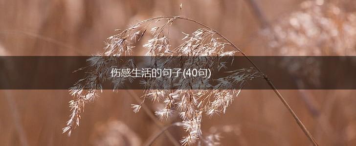 伤感生活的句子(40句),第1张