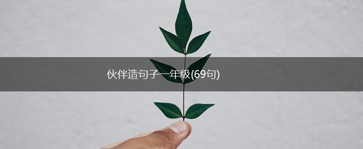 伙伴造句子一年级(69句),第1张