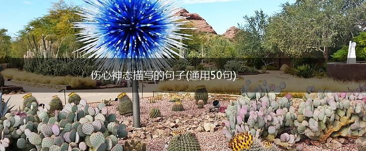 伤心神态描写的句子(通用50句),第1张