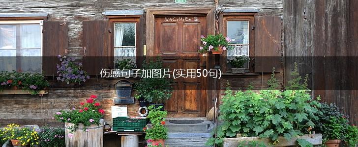 伤感句子加图片(实用50句),第1张