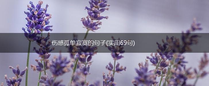 伤感孤单寂寞的句子(实用69句),第1张