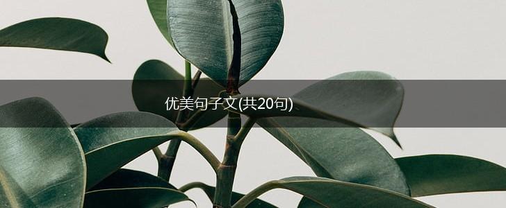 优美句子文(共20句),第1张