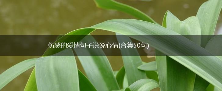 伤感的爱情句子说说心情(合集50句),第1张