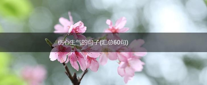 伤心生气的句子(汇总60句),第1张