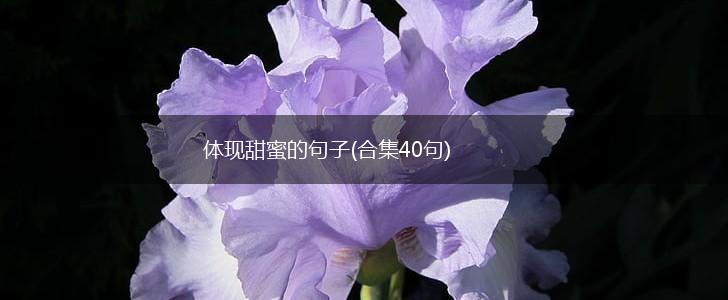 体现甜蜜的句子(合集40句),第1张