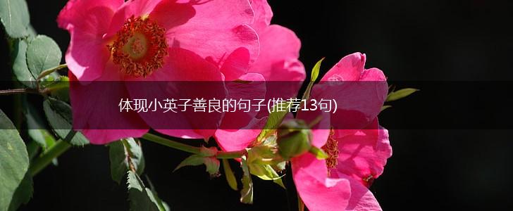 体现小英子善良的句子(推荐13句),第1张