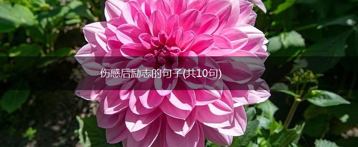 伤感后励志的句子(共10句),第1张