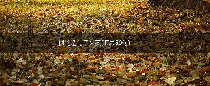 似的造句子文案(汇总50句),第1张