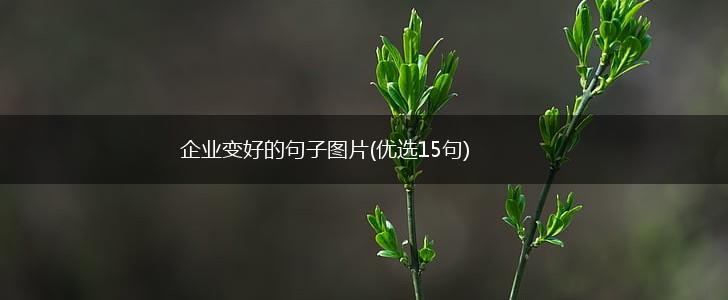 企业变好的句子图片(优选15句),第1张