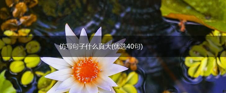 仿写句子什么真大(优选40句),第1张