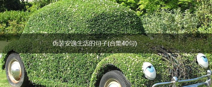 伪装安逸生活的句子(合集40句),第1张
