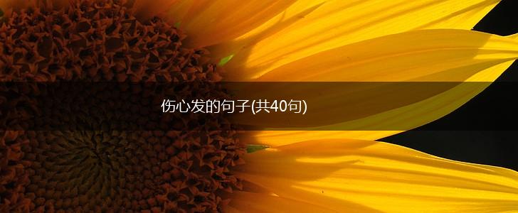 伤心发的句子(共40句),第1张