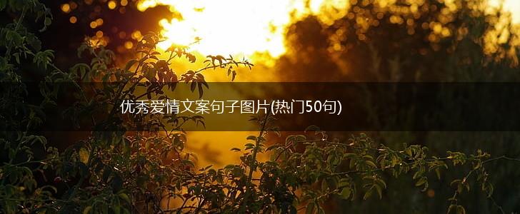 优秀爱情文案句子图片(热门50句),第1张