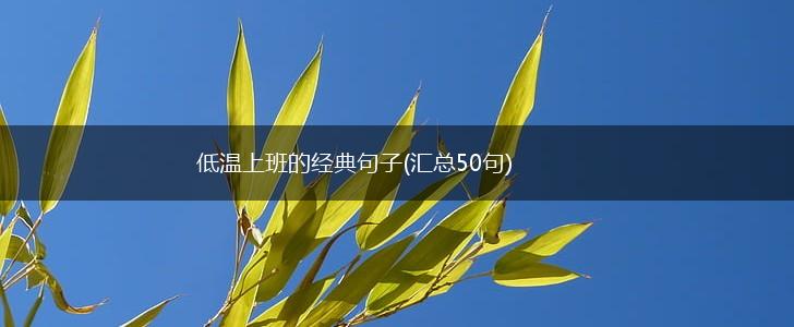 低温上班的经典句子(汇总50句),第1张