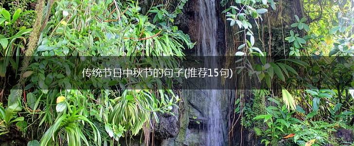 传统节日中秋节的句子(推荐15句),第1张