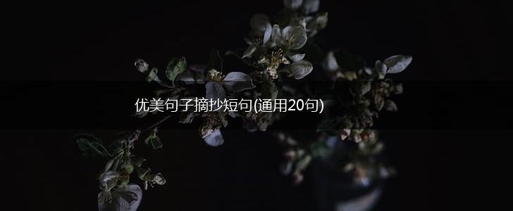 优美句子摘抄短句(通用20句),第1张