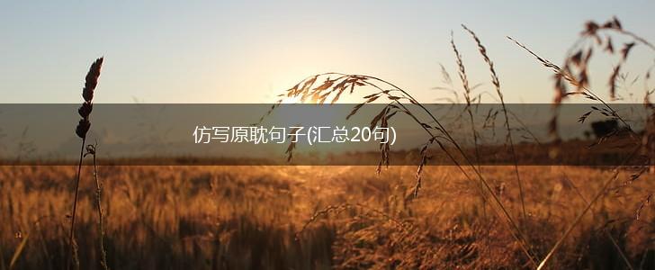 仿写原耽句子(汇总20句),第1张