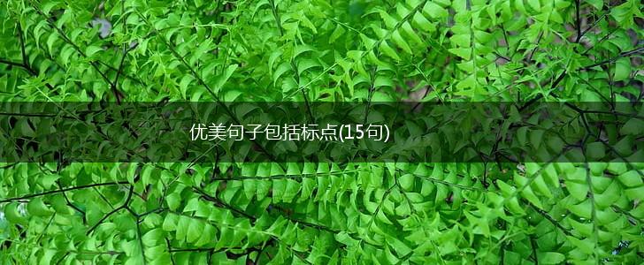 优美句子包括标点(15句),第1张