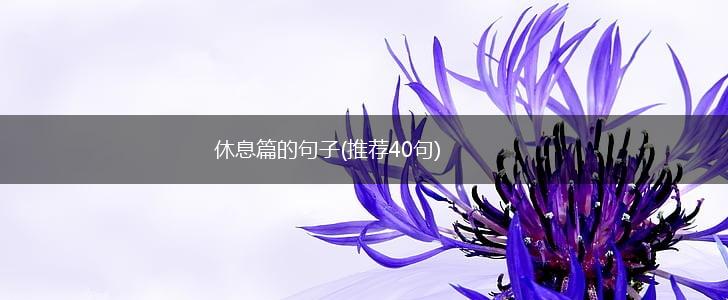 休息篇的句子(推荐40句),第1张