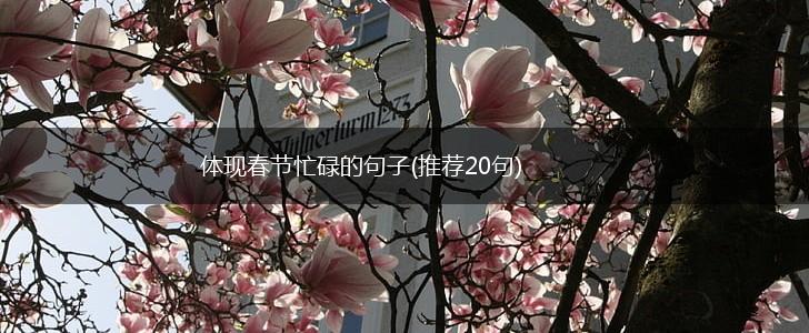 体现春节忙碌的句子(推荐20句),第1张