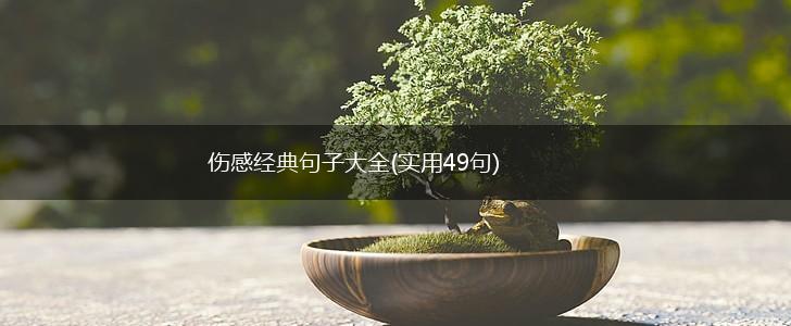 伤感经典句子大全(实用49句),第1张