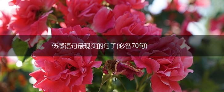 伤感语句最现实的句子(必备70句),第1张