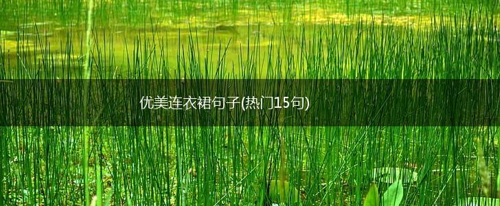 优美连衣裙句子(热门15句),第1张