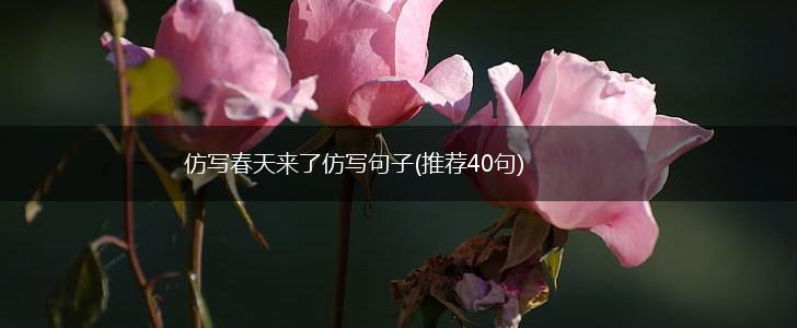 仿写春天来了仿写句子(推荐40句),第1张