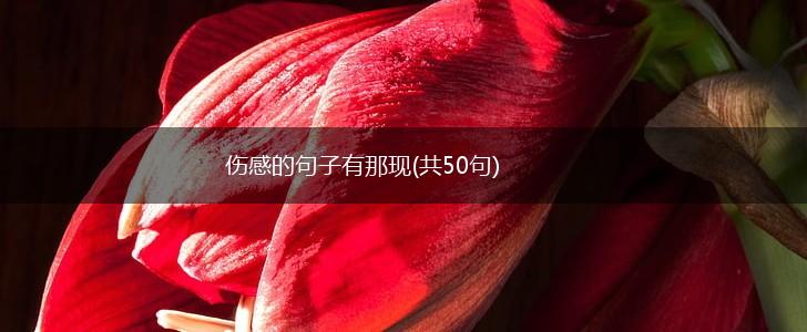 伤感的句子有那现(共50句),第1张