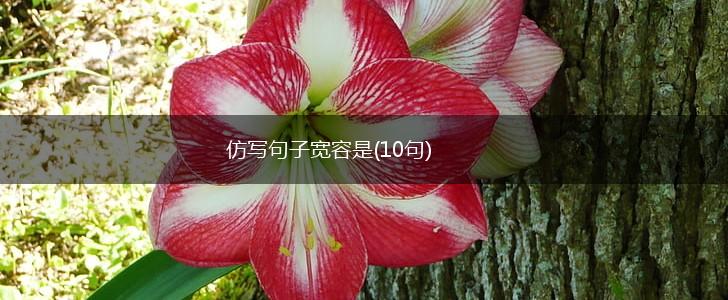 仿写句子宽容是(10句),第1张
