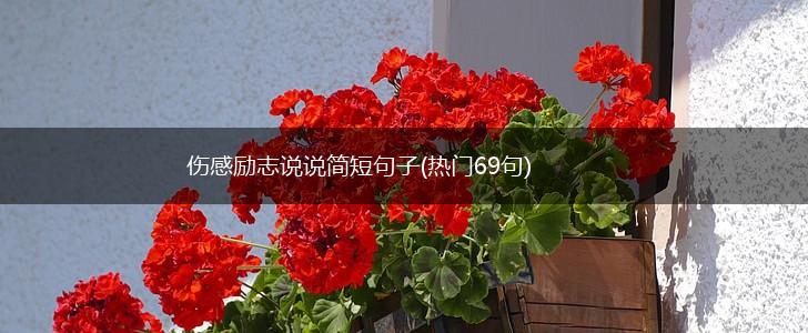 伤感励志说说简短句子(热门69句),第1张