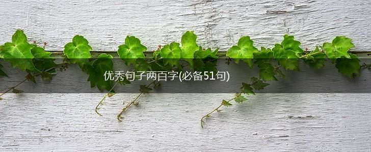 优秀句子两百字(必备51句),第1张
