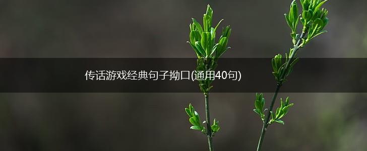 传话游戏经典句子拗口(通用40句),第1张