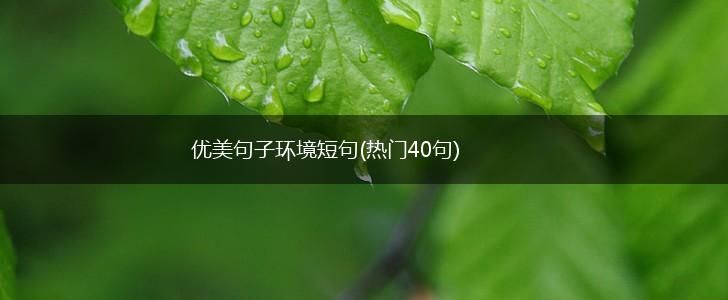 优美句子环境短句(热门40句),第1张