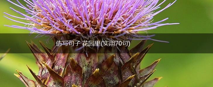 仿写句子 花园里(实用70句),第1张