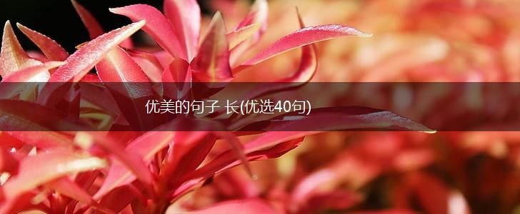 优美的句子 长(优选40句),第1张
