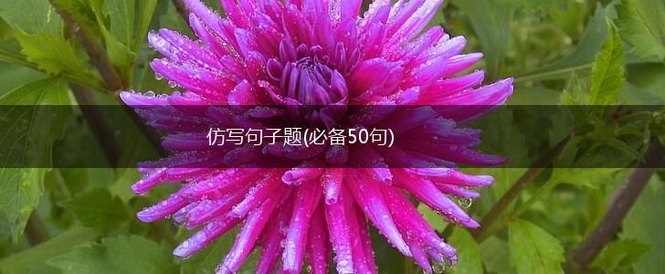 仿写句子题(必备50句),第1张