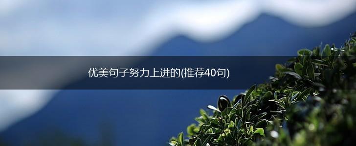 优美句子努力上进的(推荐40句),第1张