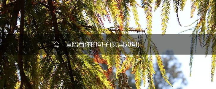 会一直陪着你的句子(实用50句),第1张