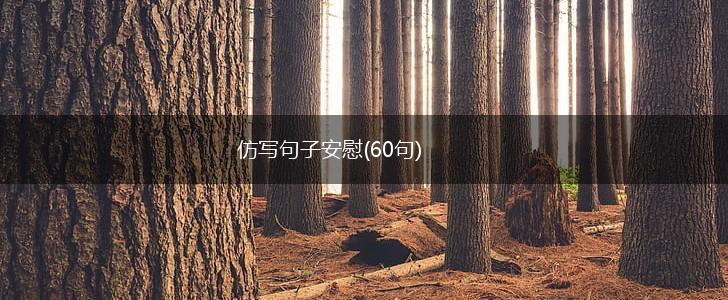 仿写句子安慰(60句),第1张