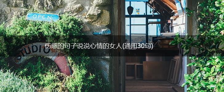 伤感的句子说说心情的女人(通用30句),第1张